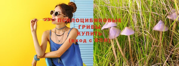 apvp Абинск