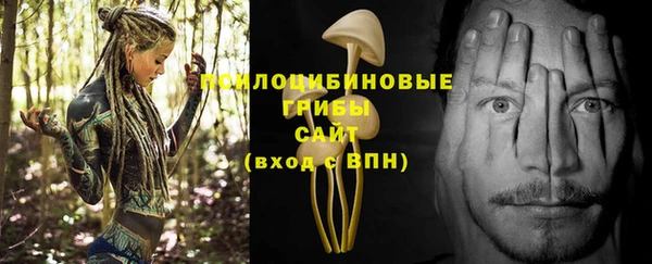 apvp Абинск