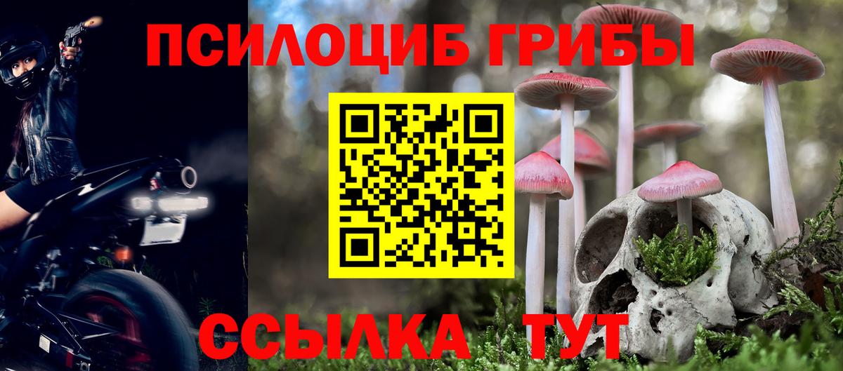 Тутаев  Галлюциногенные грибы ЛСД  наркотики  Вход с VPN 